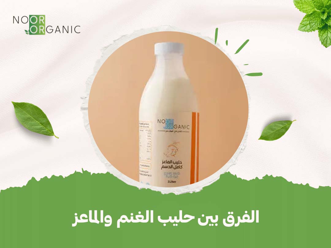 الفرق بين حليب الغنم والماعز