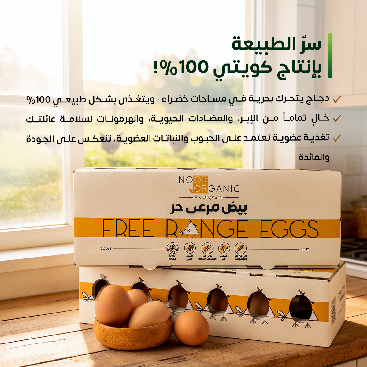 بيض مرعى حر ، خالي من الابر والهرمونات ، تغذية عضوية، إنتاج الكويت ، ١٢ بيضة
