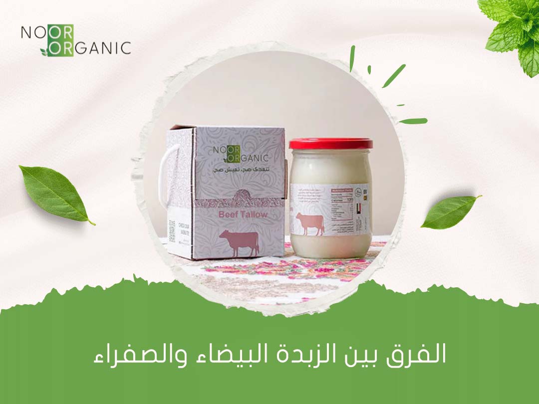 الفرق بين الزبدة البيضاء والصفراء