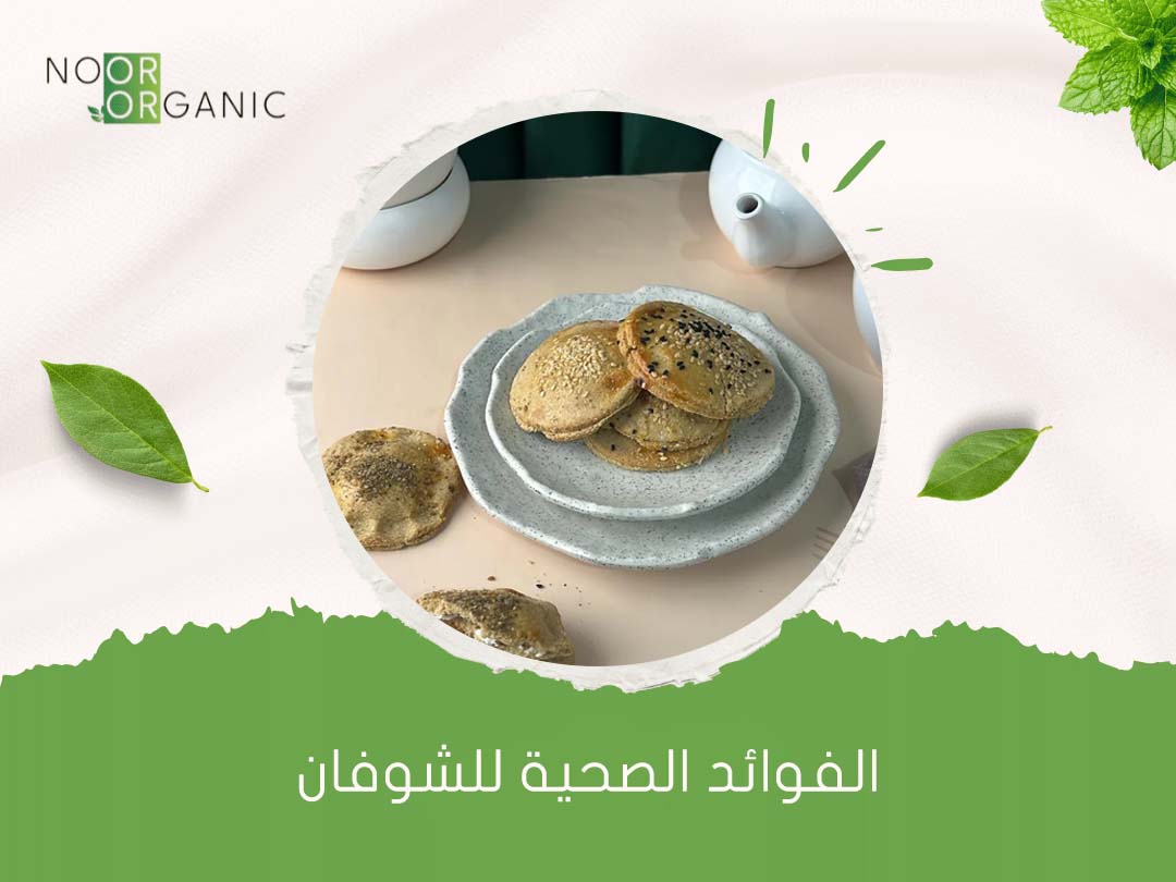 الفوائد الصحية للشوفان