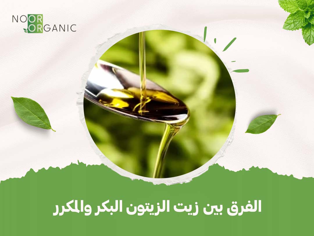 الفرق بين زيت الزيتون البكر والمكرر