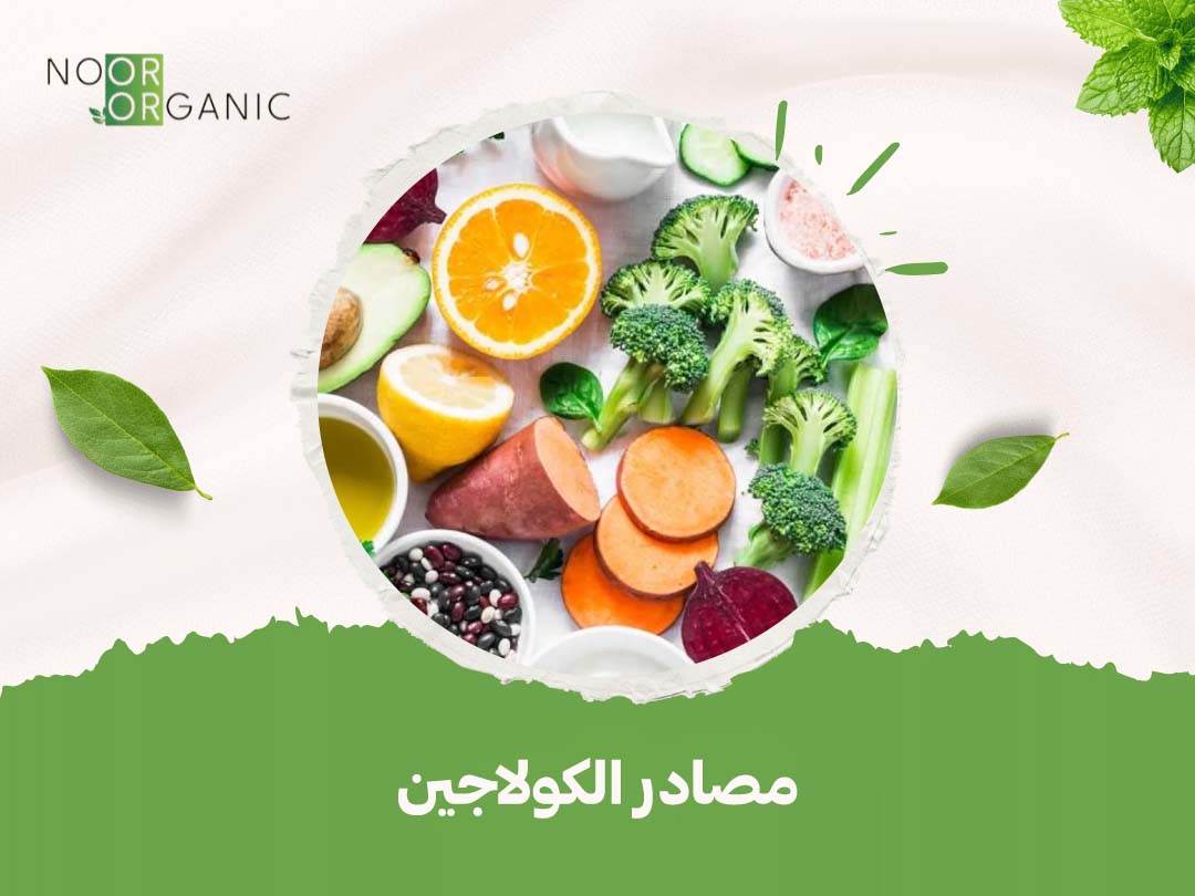 مصادر الكولاجين