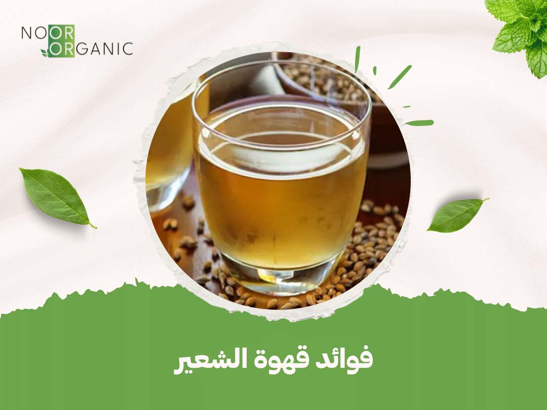 فوائد قهوة الشعير