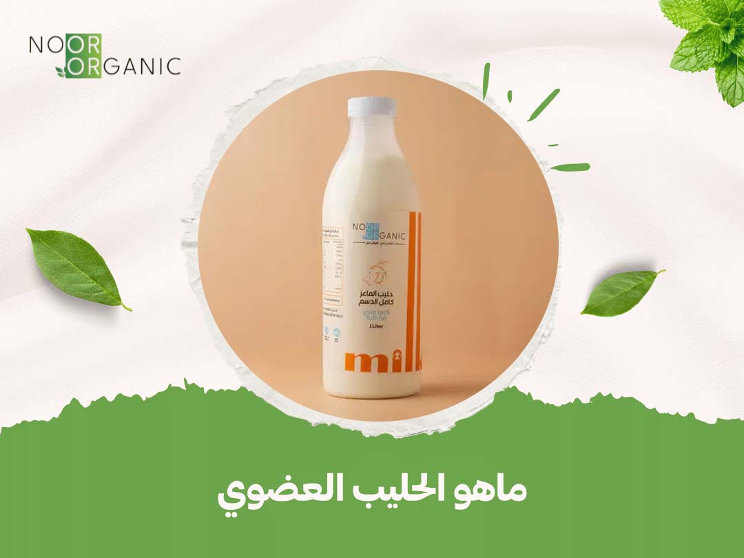 ماهو الحليب العضوي