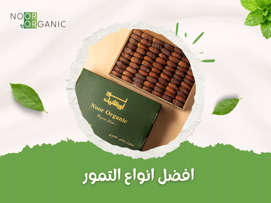 افضل انواع التمور