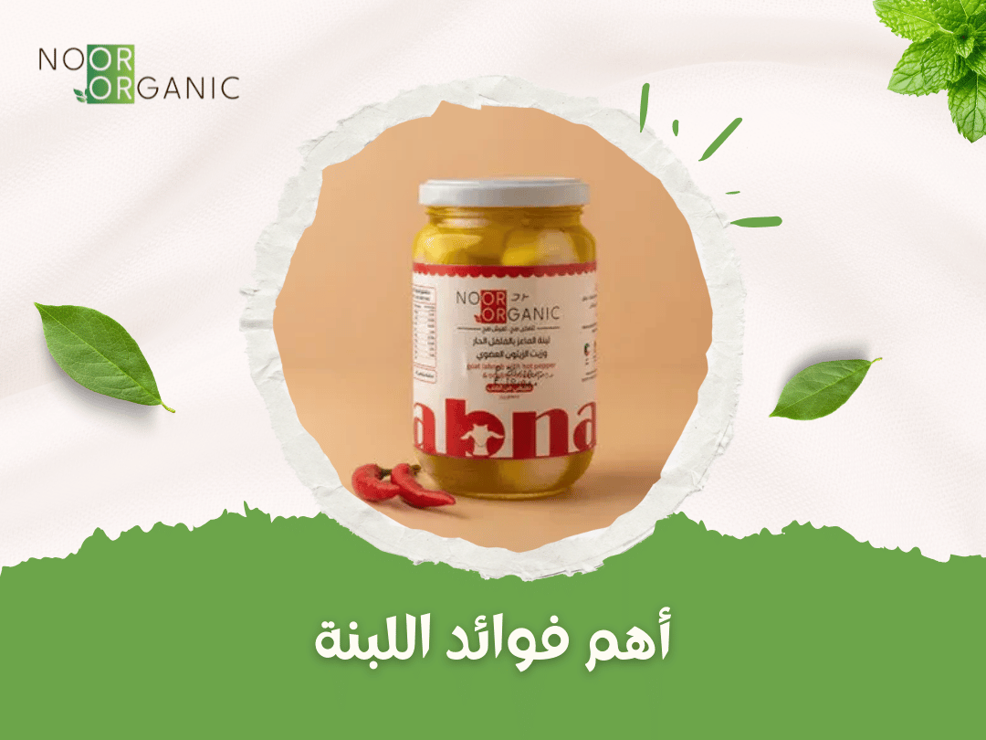 أهم فوائد اللبنة