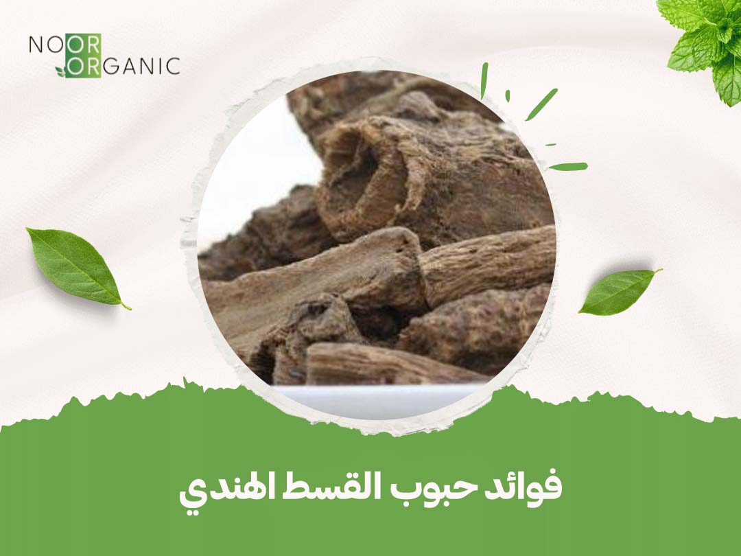 فوائد حبوب القسط الهندي