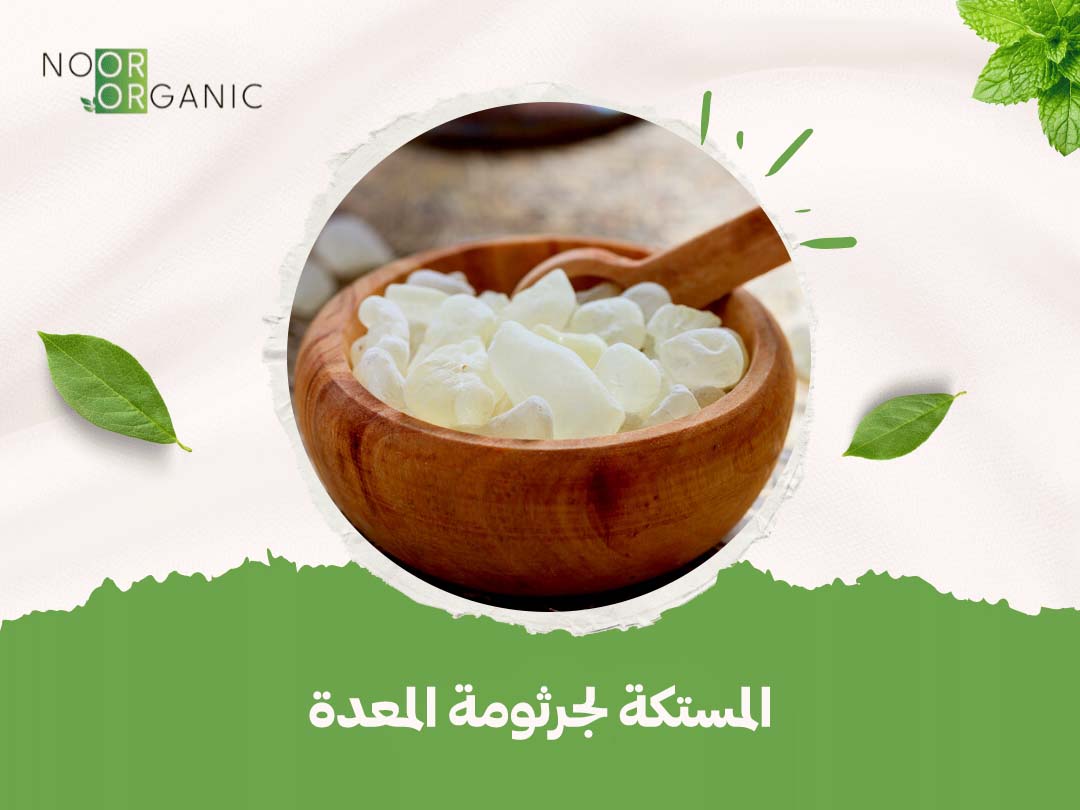المستكة لجرثومة المعدة