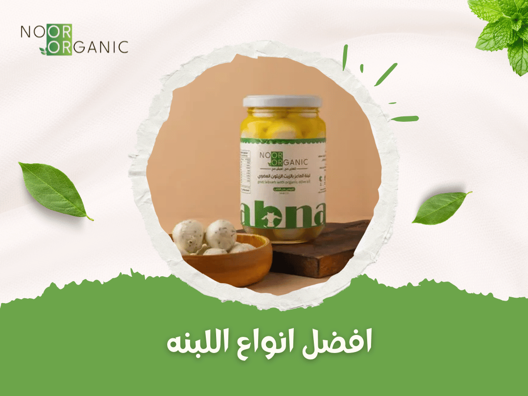 افضل انواع اللبنه