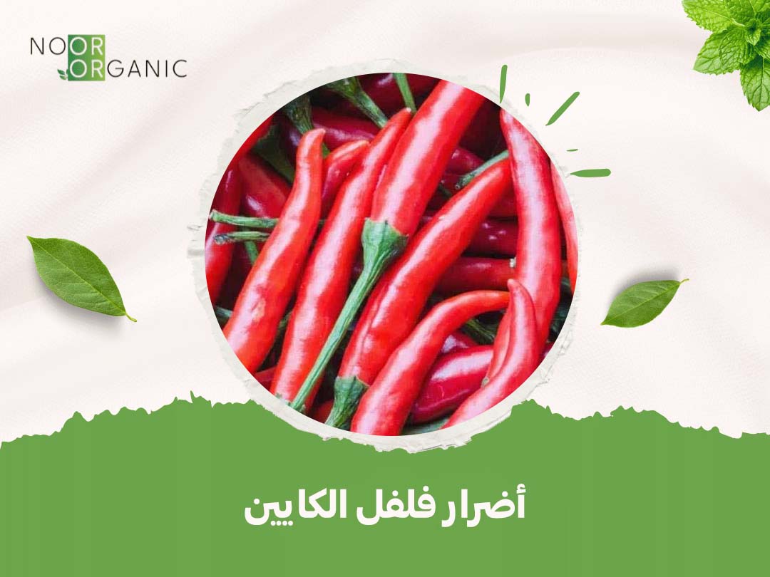 أضرار فلفل الكايين