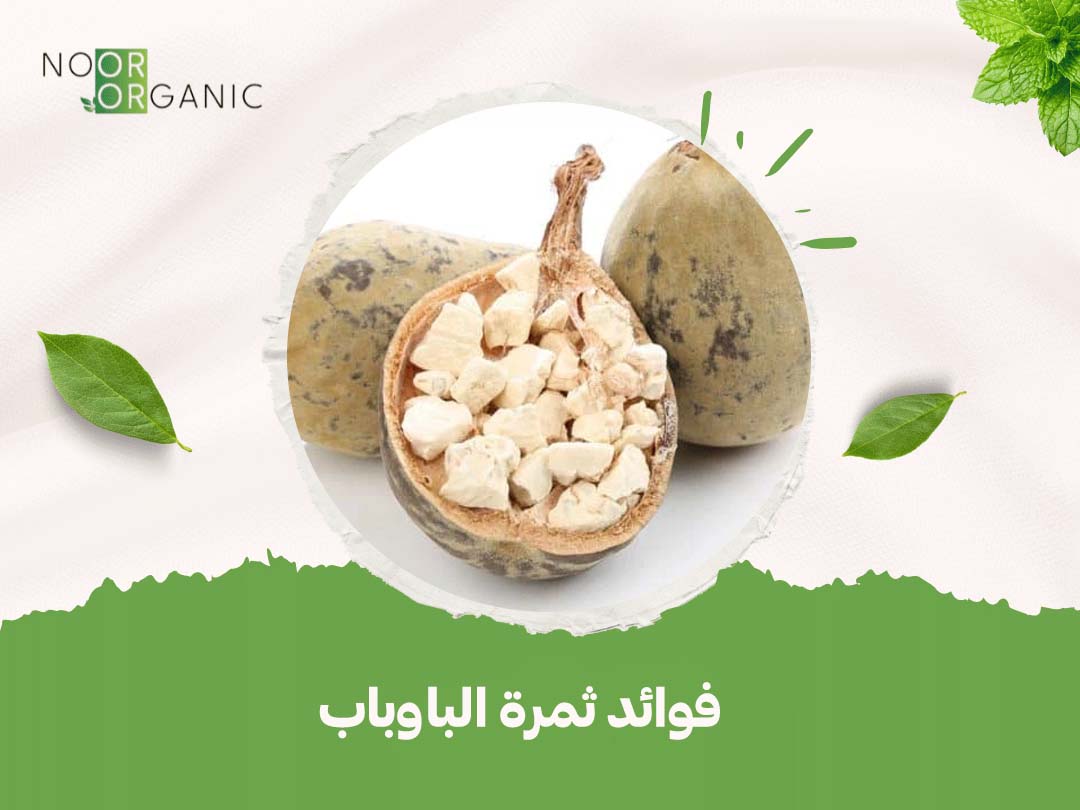 فوائد ثمرة الباوباب