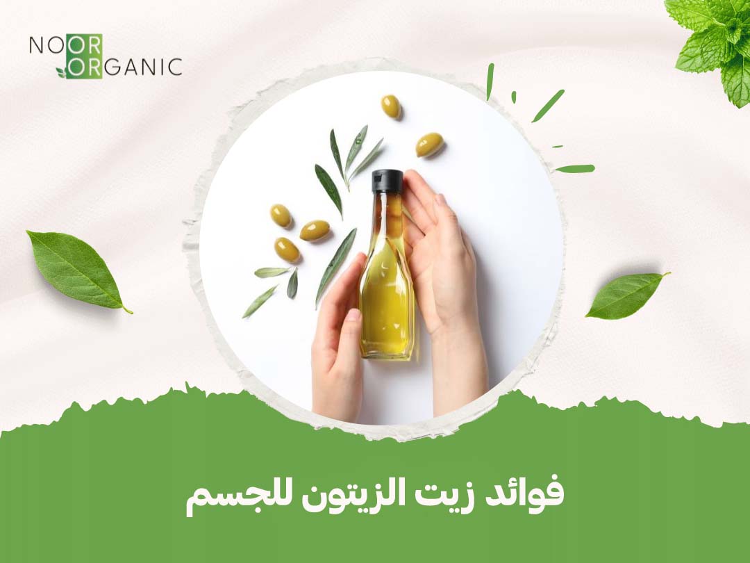 فوائد زيت الزيتون للجسم