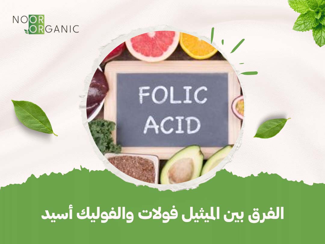 الفرق بين الميثيل فولات والفوليك أسيد