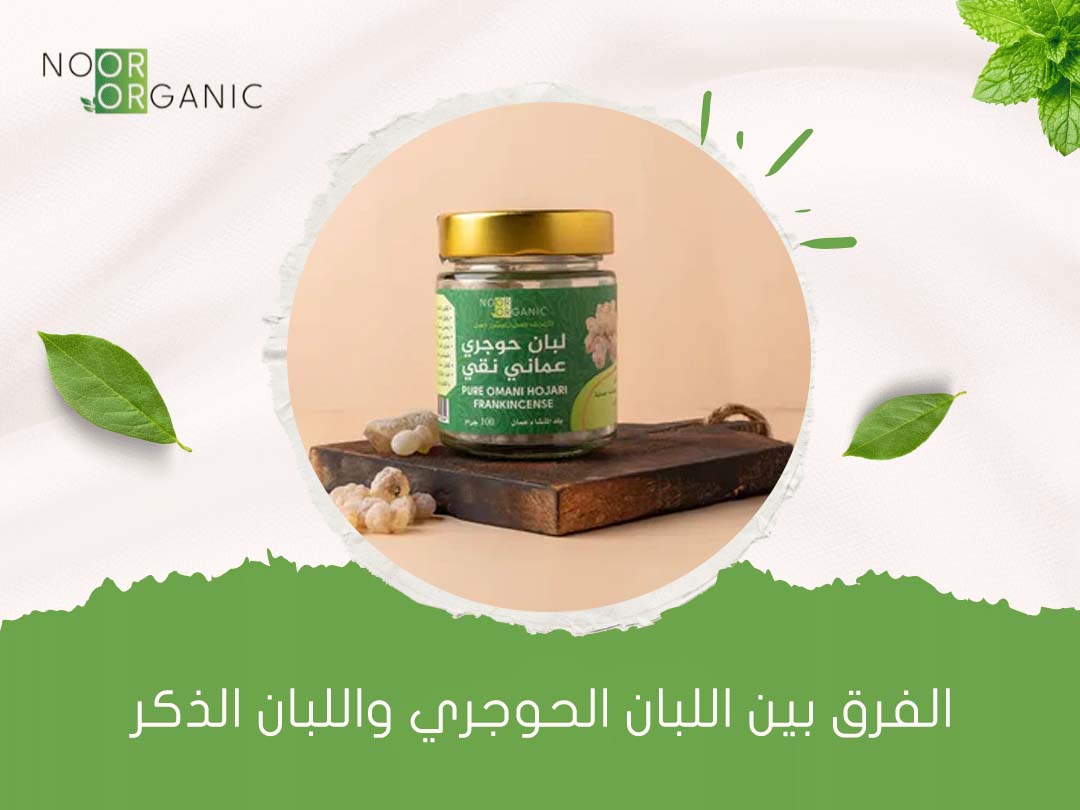 الفرق بين اللبان الحوجري واللبان الذكر