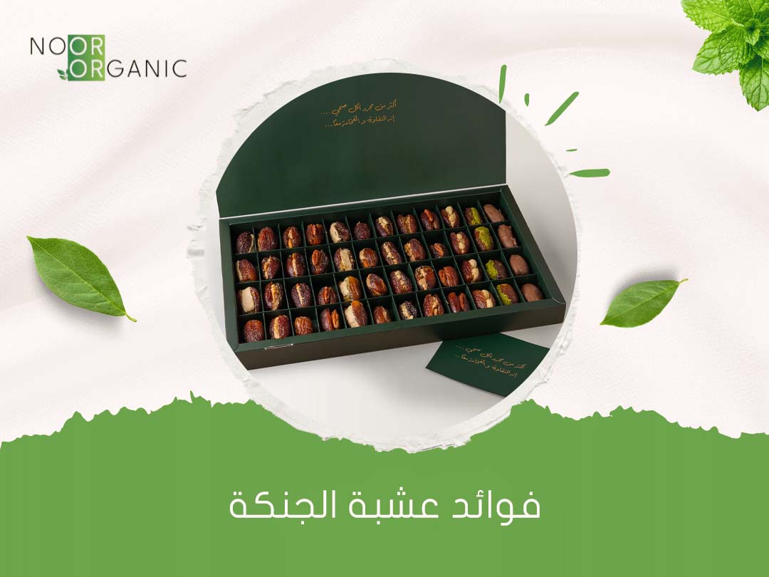 فوائد عشبة الجنكة