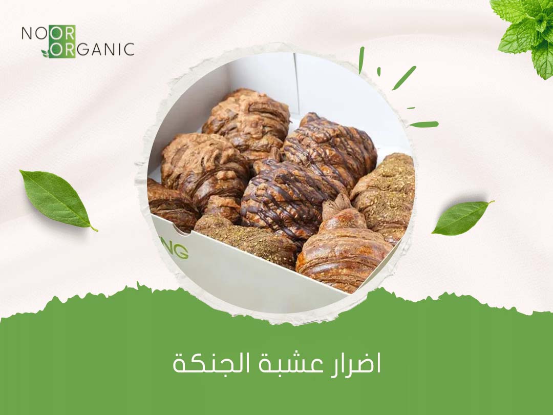 اضرار عشبة الجنكة