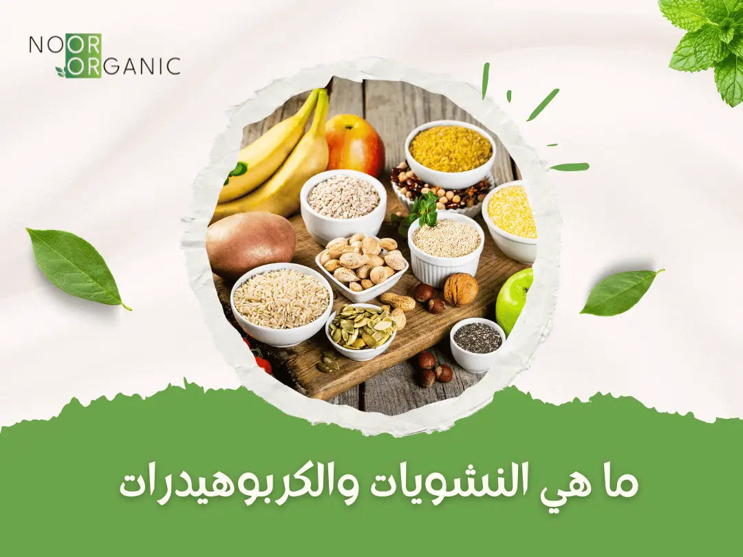 ما هي النشويات والكربوهيدرات