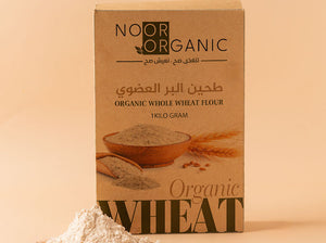 طحين البر العضوي Nour Foods